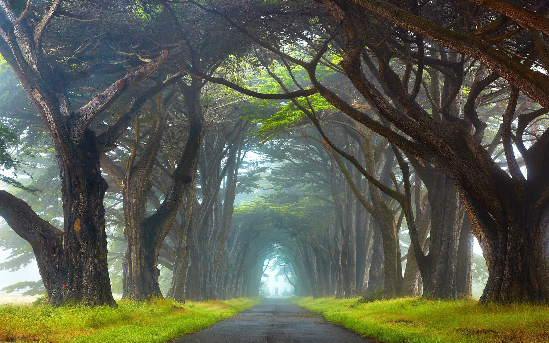 Listen to Ever Green Bollywood Radio